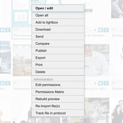 The context menu is displayed by simply clicking on a file or selection. The action options include, for example: Open/Edit, Open All, Add to Light Box, Download, Send, Compare, Publish, Export, Print, and Delete.