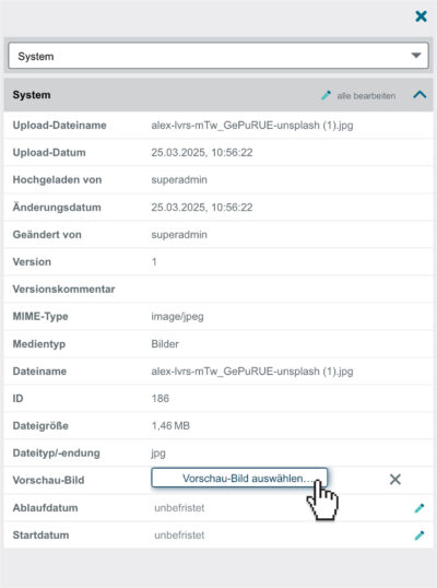 Vorschaubild eines Assets bearbeiten